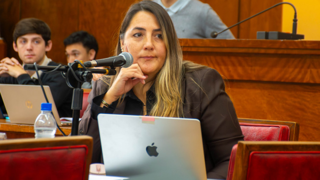 Seguridad: Varios proyectos sobre acciones en los barrios